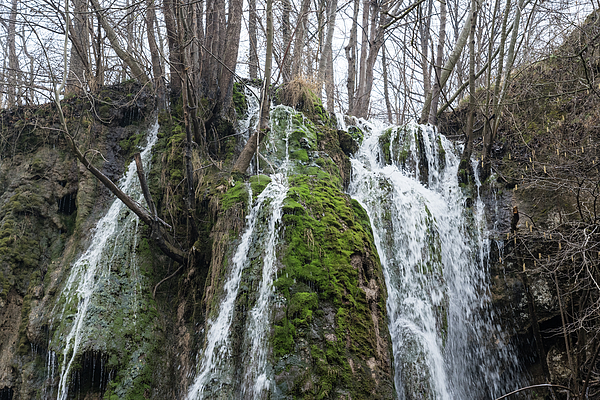 Georgia Mizuleva - Forest Bathing - Splendid Woodland Waterfall with Mossy Rocks