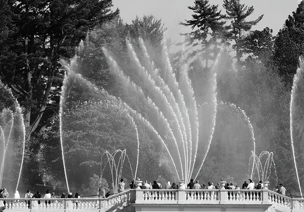 Emmy Marie Vickers - Fountain Show at Longwood Gardens bw