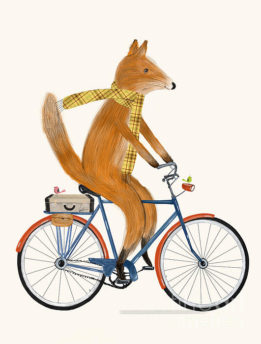 Bri Buckley - Fox Bicycle