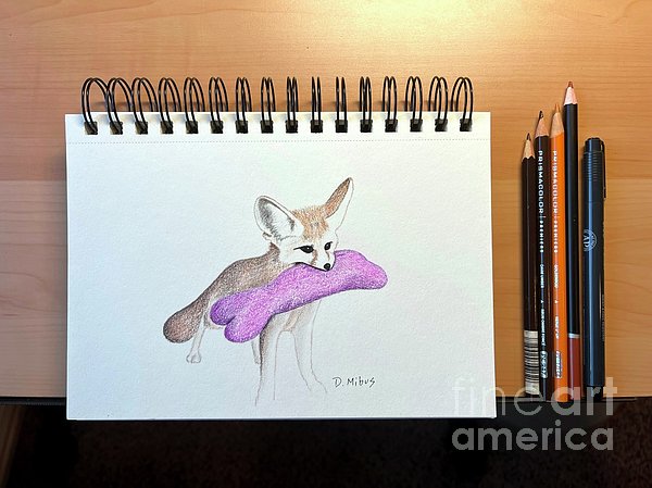 Fox Drawings