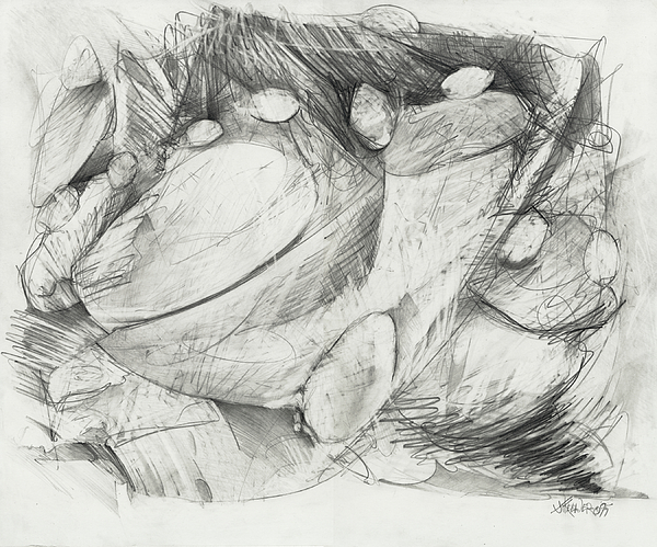 Whimsical Drawings