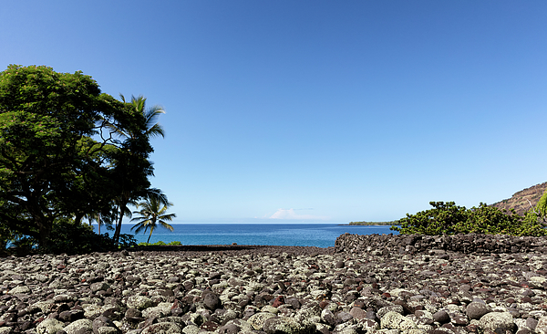 Sky Hawaiian T-Shirt