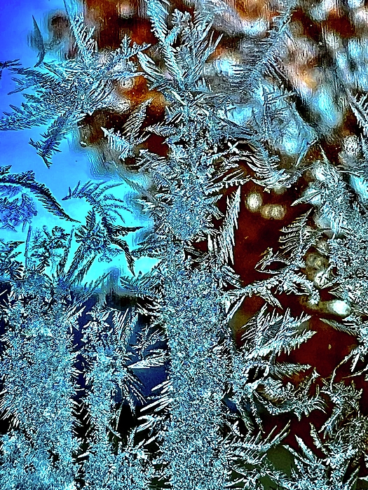 Nature Art