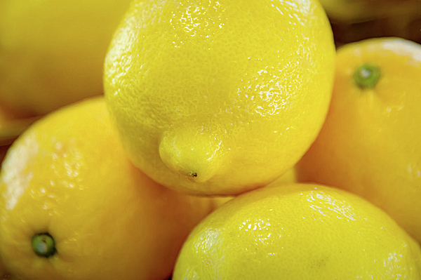 John Kirkland - Fruit - Lemon - Macro