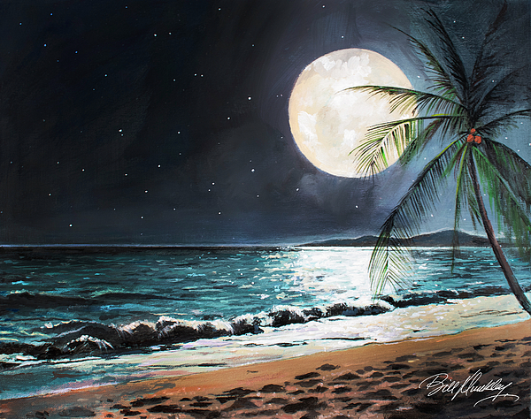 Bill Dunkley - Full Moon on Tropical Beach