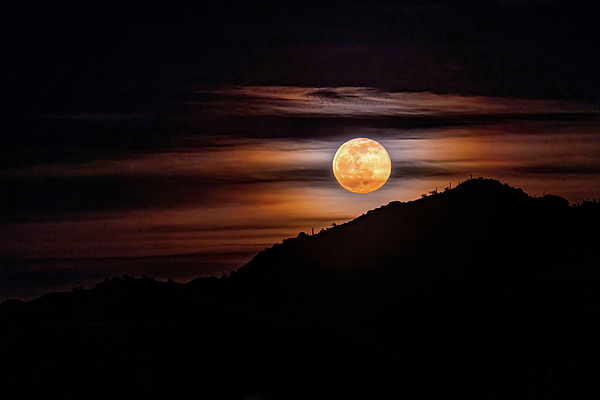 Laura Epstein - Full Moon Rise