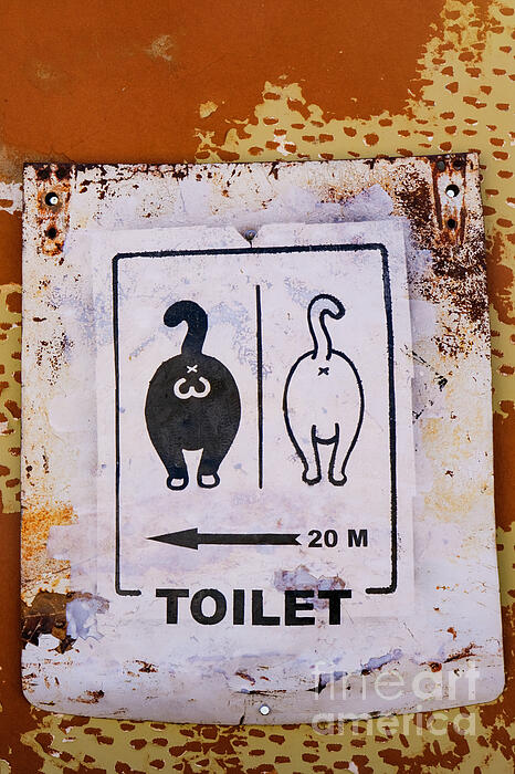 Patricia Hofmeester - Fun toilet direction sign using cats