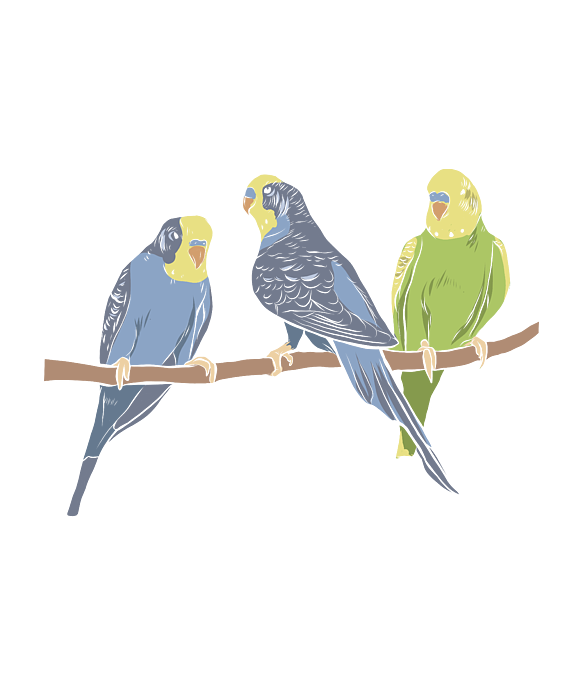 Funny Pet Bird Lover Parrot Parakeet Budgie Owner Premium T-Shirt Funny Pet Bird Lover Parrot Parakeet Budgie Owner Premium T-Shirt