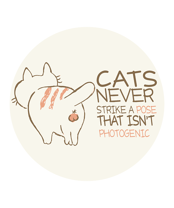 Funny Cute Cat Memes Cat Face Retro Vintage - Cat Memes - Sticker