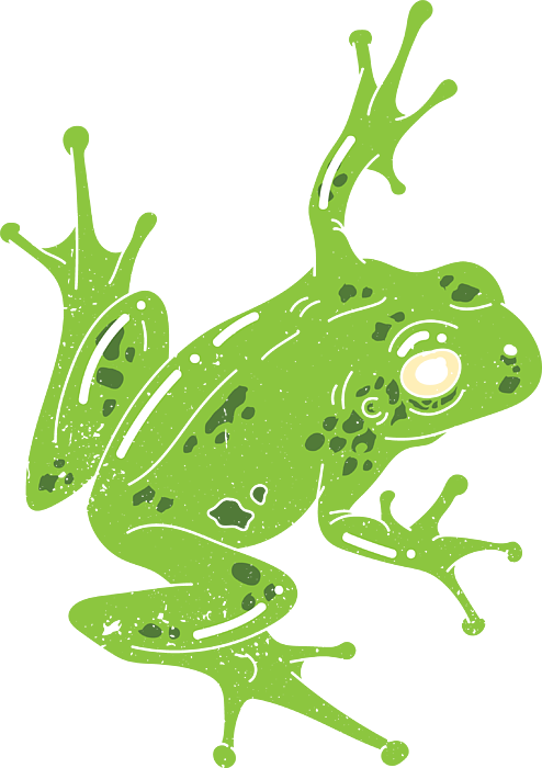 Funny Frog Stickers, Frog Gifts