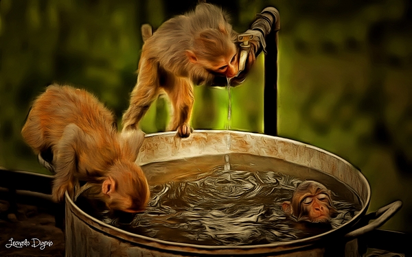 Funny Monkeys - PA2 Jigsaw Puzzle by Leonardo Digenio - Pixels Funny Monkeys - PA2 Jigsaw Puzzle by Leonardo Digenio - Pixels