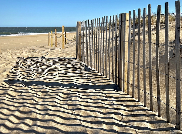 Bill Swartwout - Gateway to the Beach in Ocean City, MD