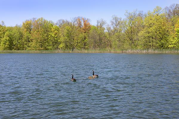 Spring Photographs