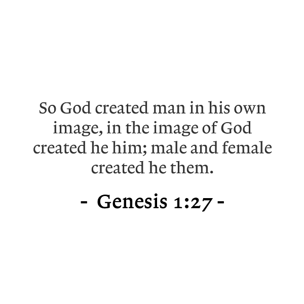 Genesis 1 27 So God created man in his own image in the image of God ...