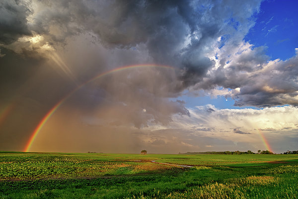 Genesis 9:13 I Set My Bow In The Clouds (navy)