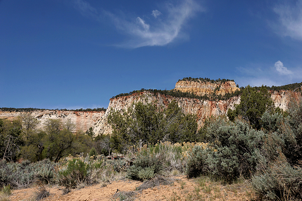 John Trommer - Geologic Features And Surrounding Landscape - East Side Of Zion National Park 3