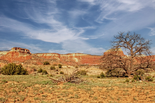 Kay Brewer - Ghost Ranch