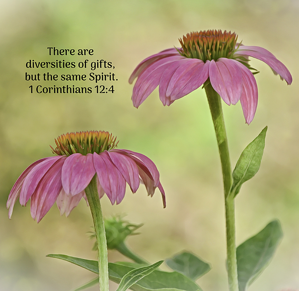 Gaby Ethington - Gifts of the Spirit Flowers and Scripture