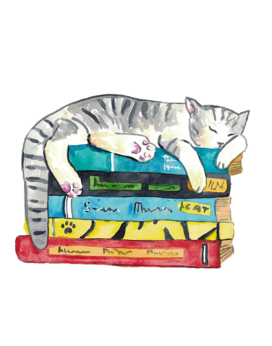 cat reading a book drawing