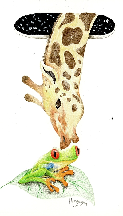 Pamela Marinelli - Giraffe And Frog