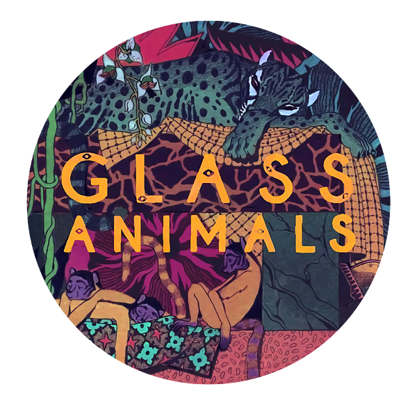 Glass Animals Album Adult Pull-Over Hoodie by Margaret L Mumma - Pixels