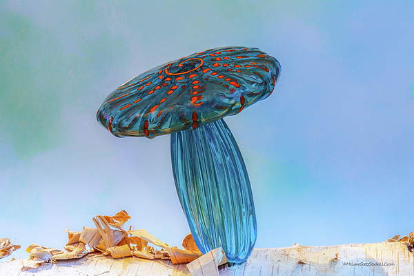 LeeAnn McLaneGoetz McLaneGoetzStudioLLCcom - Glass Blowing Blue Mushroom