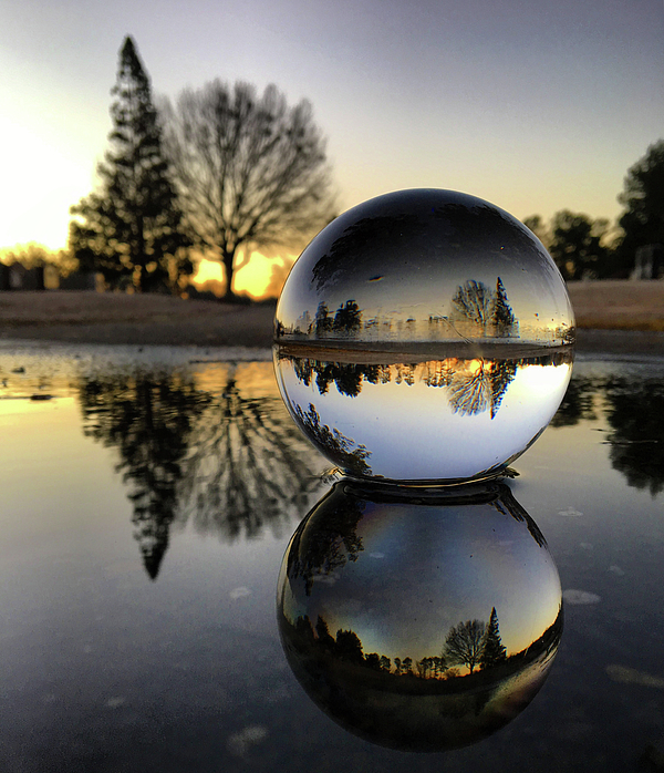 Winter Art