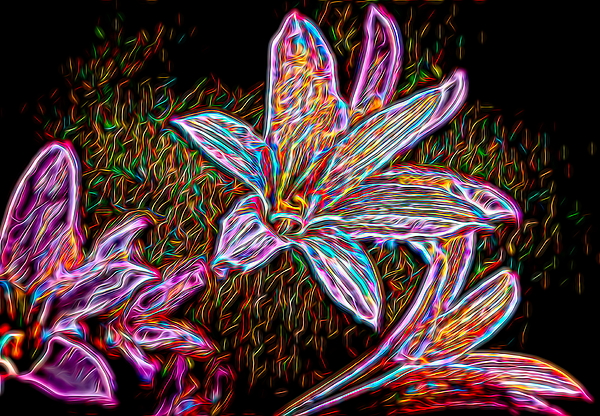 Mo Barton - Glowing Lilies