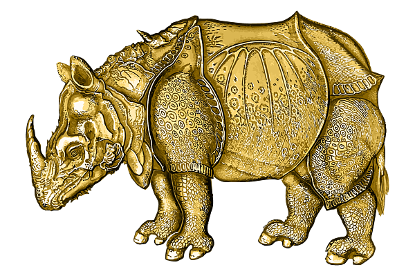 Vintage African Medium 2024 Bronze Rhinoceros