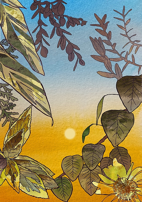 Sunrise Paintings