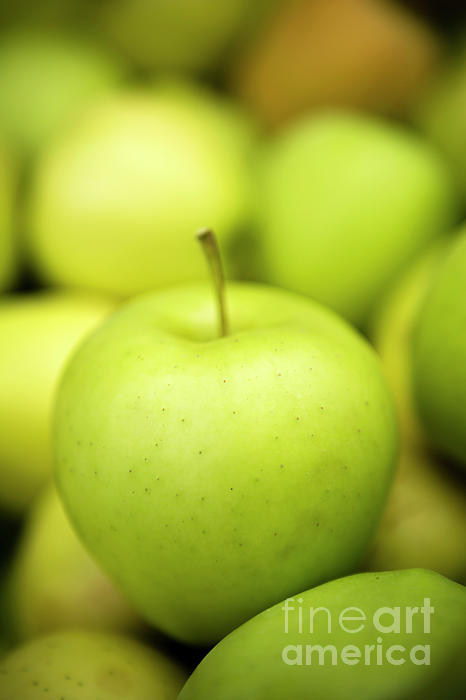 Fresh Ripe Organic Gala Apple Photograph by Kevin Miller - Pixels