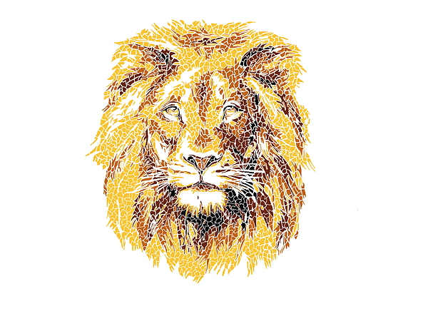 Golden best sale lion blankets