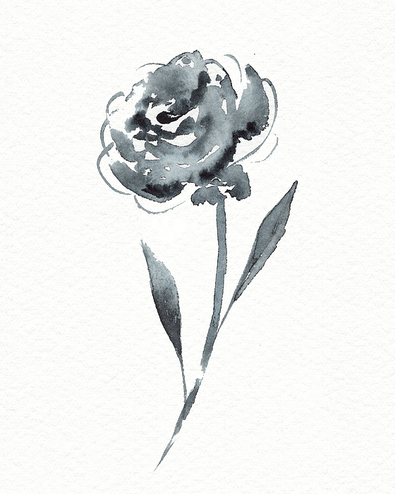 Irina Sztukowski - Graceful Simple Beauty Botanical Gray Watercolor Flower I