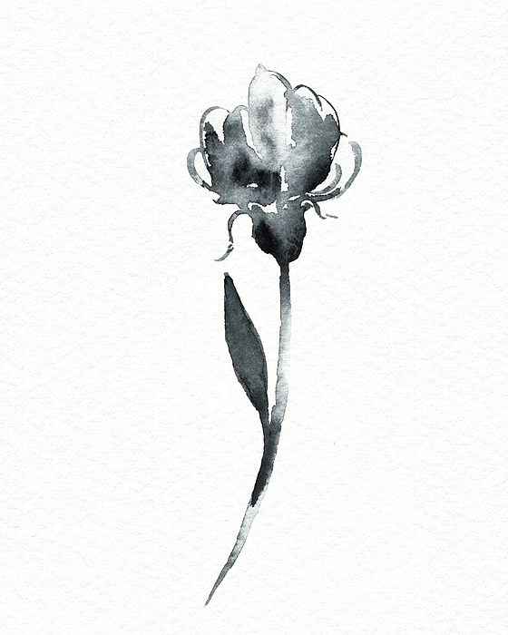 Irina Sztukowski - Graceful Simple Beauty Botanical Gray Watercolor Flower II