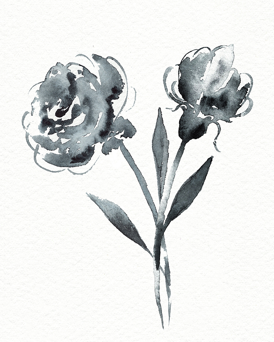 Irina Sztukowski -  Graceful Simple Beauty Botanical Gray Watercolor Flowers
