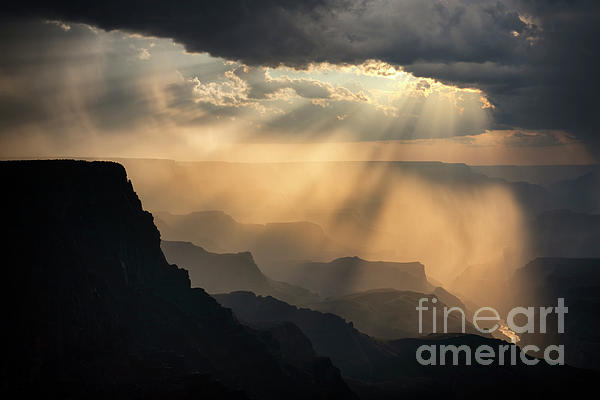 Priscilla Burgers - Grand Canyon After the Storm