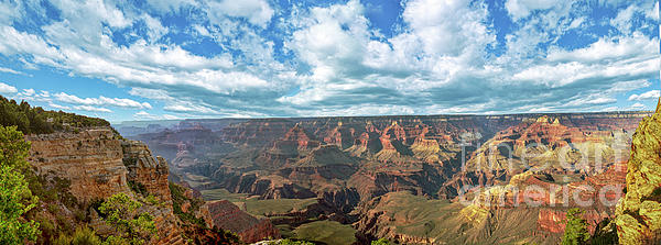 David Zanzinger - Grand Canyon NP Daytime Panorama
