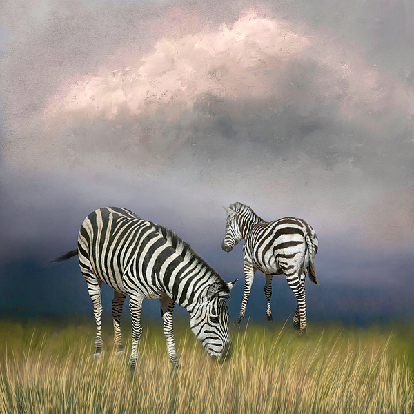 Grant's Zebra Fleece Blanket by Donna Kennedy - Fine Art America