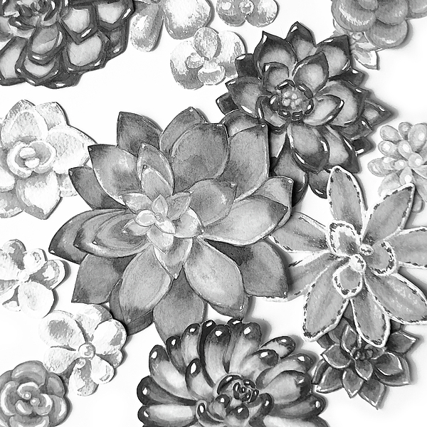 Irina Sztukowski - Gray Monochrome Succulent Plants Garden Watercolor Art Decor III