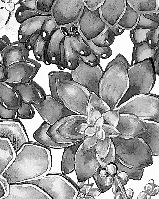 Irina Sztukowski - Gray Monochrome Succulent Plants Garden Watercolor Art Decor IV