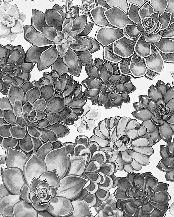 Irina Sztukowski - Gray Monochrome Succulent Plants Garden Watercolor Art Decor IX