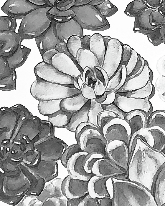 Irina Sztukowski - Gray Monochrome Succulent Plants Garden Watercolor Art Decor V
