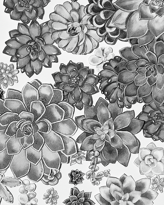Irina Sztukowski - Gray Monochrome Succulent Plants Garden Watercolor Art Decor VIII