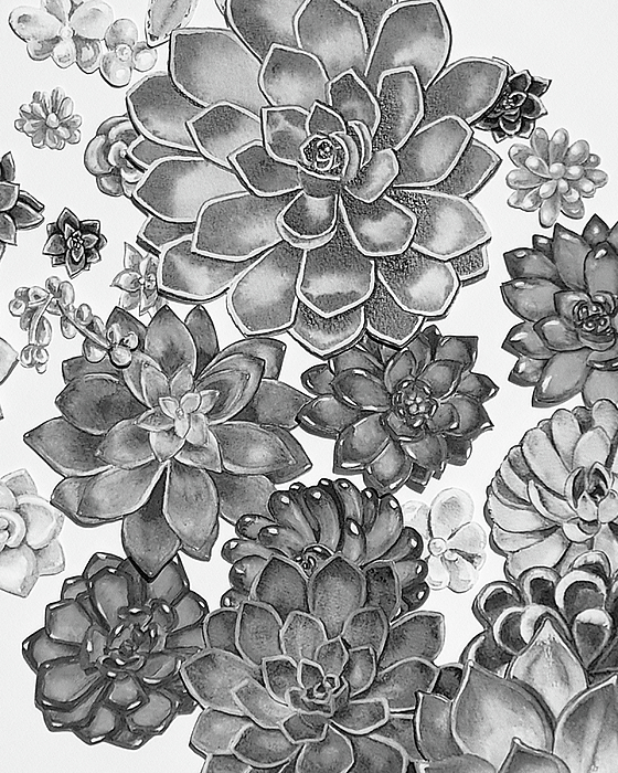Irina Sztukowski - Gray Monochrome Succulent Plants Garden Watercolor Art Decor X