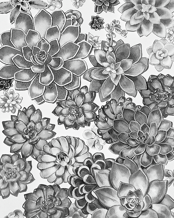Irina Sztukowski - Gray Monochrome Succulent Plants Garden Watercolor Art Decor XI