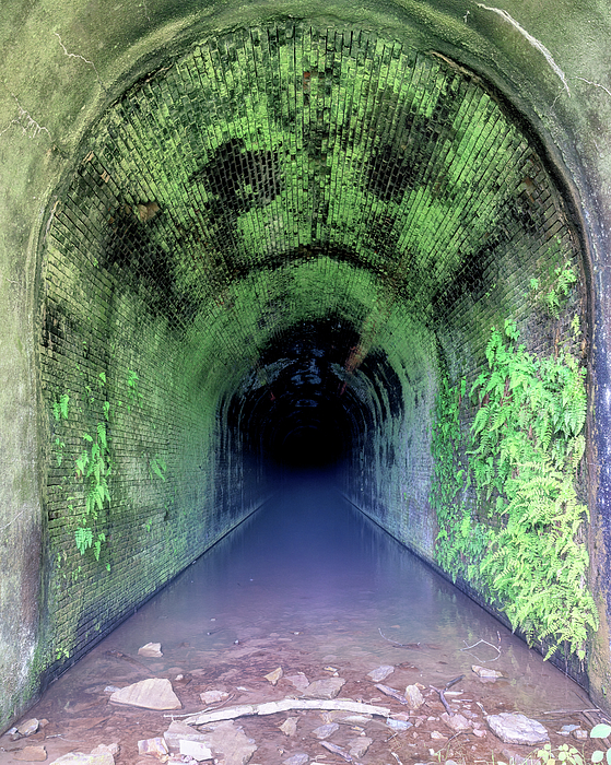 Susan Rissi Tregoning - Great Bend Tunnel