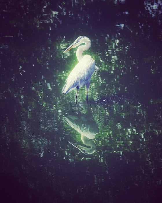 Reflection Art