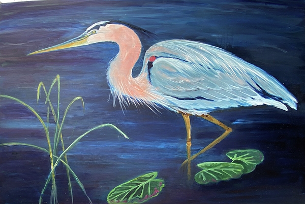 Ibis Art