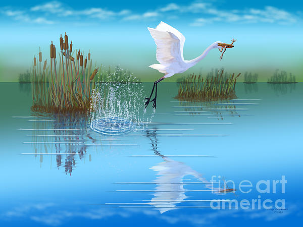 Gary F Richards - Great Egret Snacktime