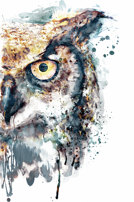 Marian Voicu - Great Horned Owl Close-up Portrait
